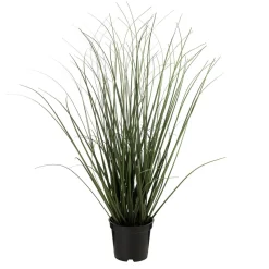 Kremmerhuset Gress i potte 48cm| Grønne Planter