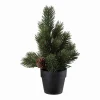 Kremmerhuset Juletre i potte 21cm| Juletrær Og Julegrønt