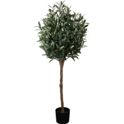 Kremmerhuset Oliventre i potte H 120 cm| Grønne Planter
