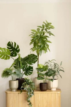 Kremmerhuset Plante Tre 115 cm| Grønne Planter