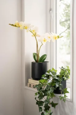 Kremmerhuset Potte Gus 13,5 cm| Blomsterpotter Og Pidestaller