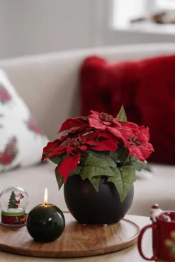 Kremmerhuset Potte Julie 12,5 cm| Blomsterpotter Og Pidestaller