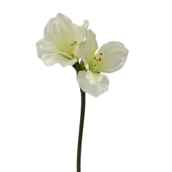 Kremmerhuset Stilkblomst Amaryllis hvit| Kunstige Blomster|Juletrær Og Julegrønt